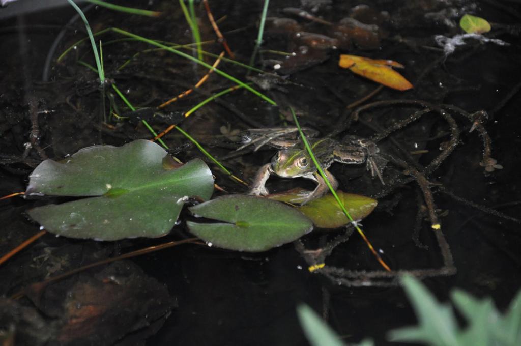 Thomery Bed & Breakfast | Villa le Cloky