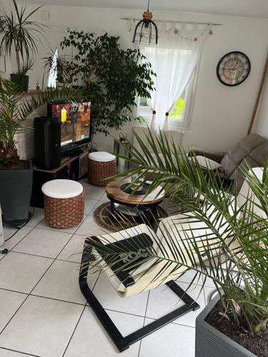 Andrezieux-Boutheon Villa | Villa le jasmin très calme