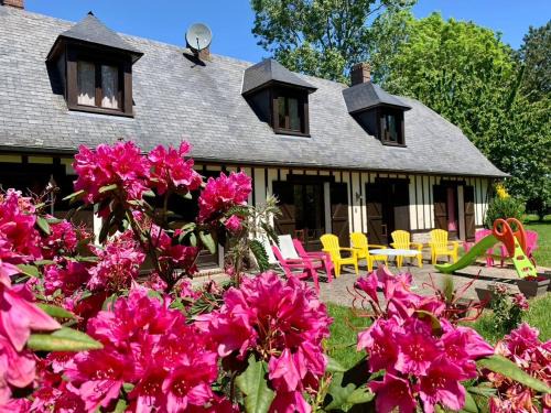 Maniquerville Villa | Villa Les hortensias RDC