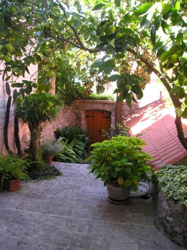 Cavtat Old Town House | Villa Magnolia