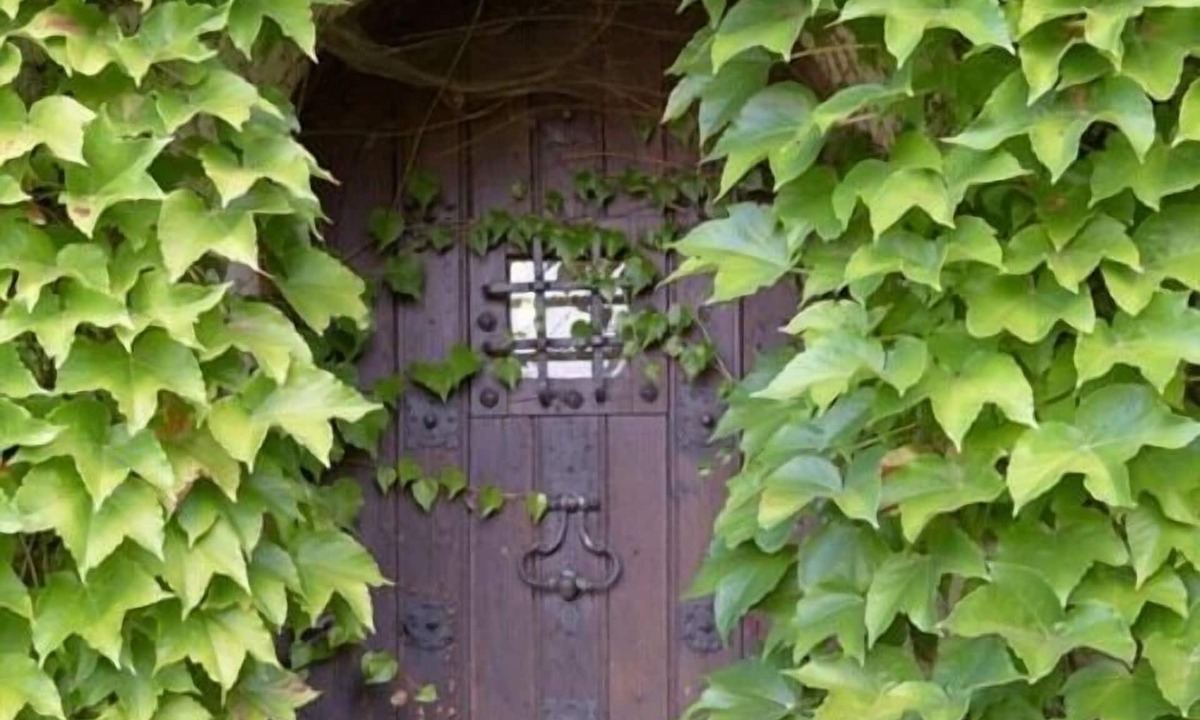 Marambat House | Villa Marambat