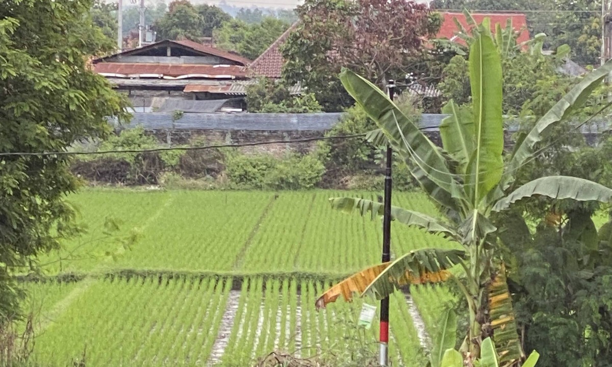 Sewon Villa | VILLA MIKE PENTHOUSE