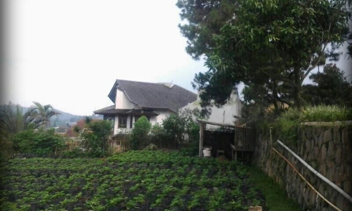 Parongpong Bed & Breakfast | Villa Notes from the mountains