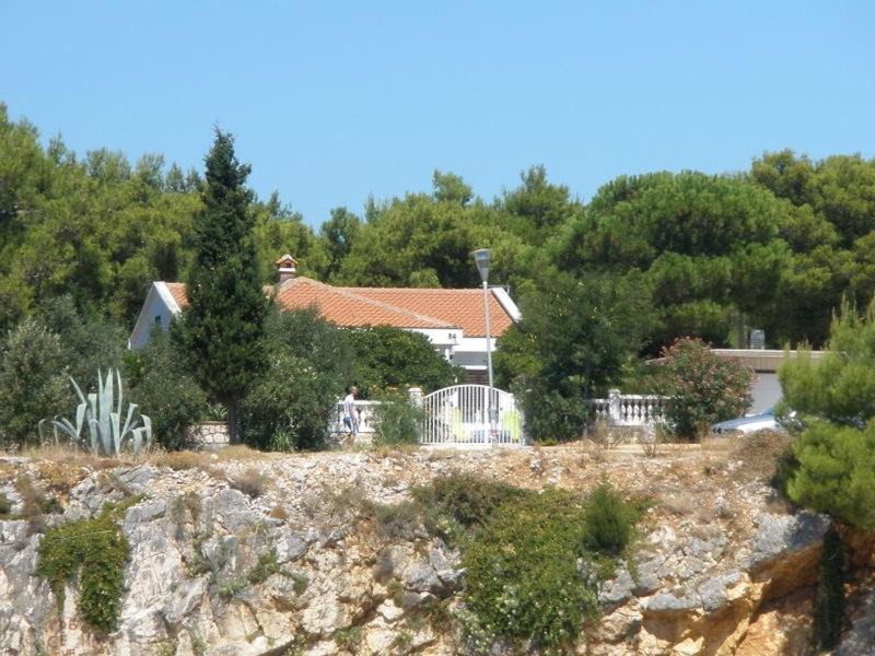 Povljana Villa | Villa Pagar - with hydromassage pool, pets friendly