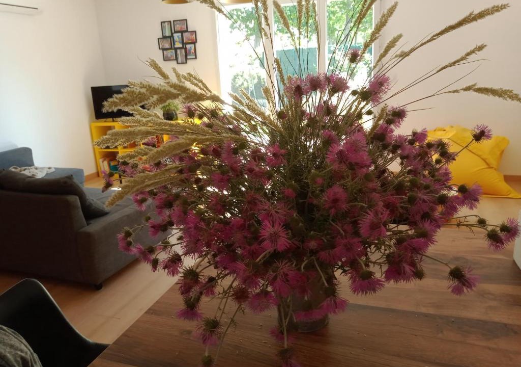 Moyen-Vernet House | Villa perpignanaise