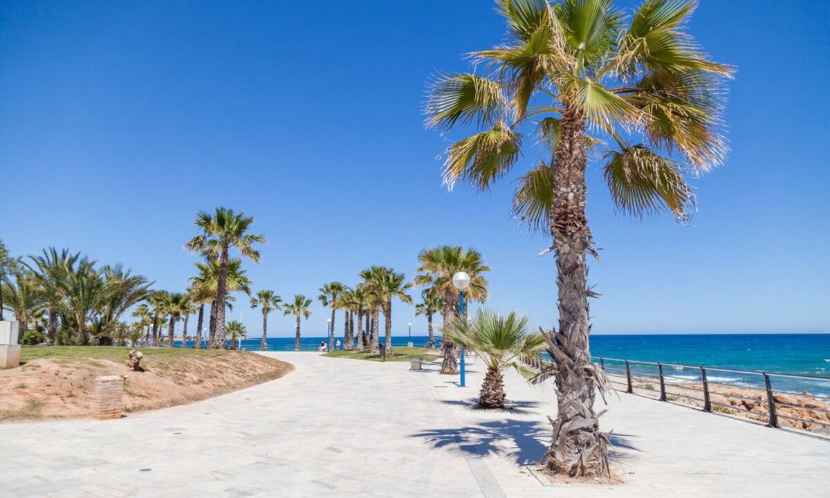 La Florida Villa | Villa Playa Flamenca