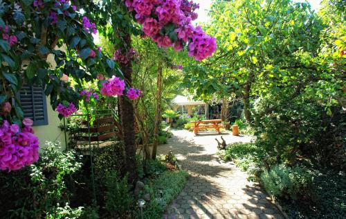 Punta Kriza House | Villa Regina island Cres, 70m from the sea