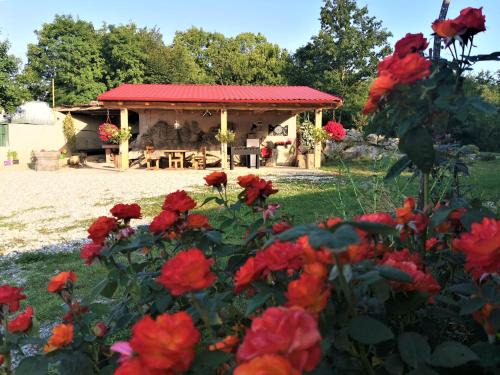 Veli Brgud House | VILLA SALVIA - Holiday house with pool -