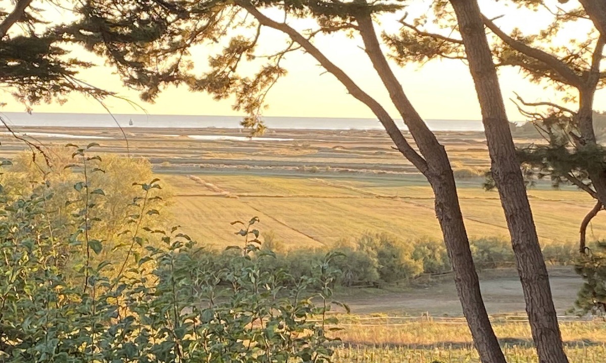 Billiers Villa | Villa Vieilles Vignes vue mer