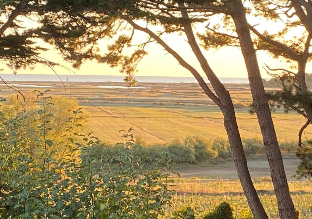Billiers House | Villa Vieilles Vignes vue mer