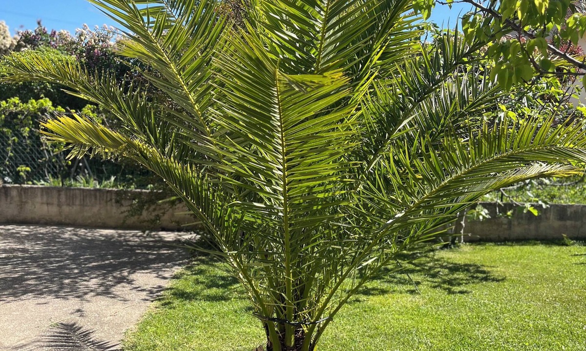 Carpentras Villa | Villa with pool and air conditioning