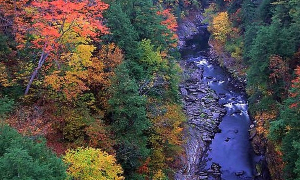 Reading House | Village Farmhouse, mins to Okemo, Killington, Ascutney, GMHA. Pet-friendly.