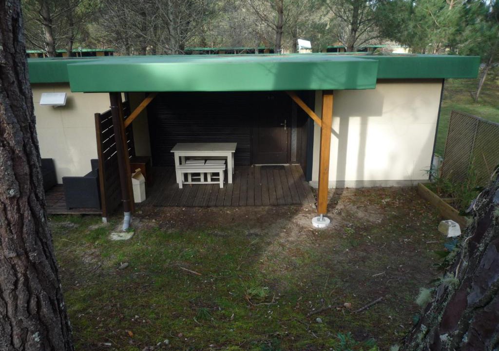 Leon Other | Village sous les pins