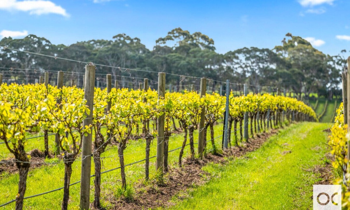 Kuitpo House | VineView - a hidden oasis