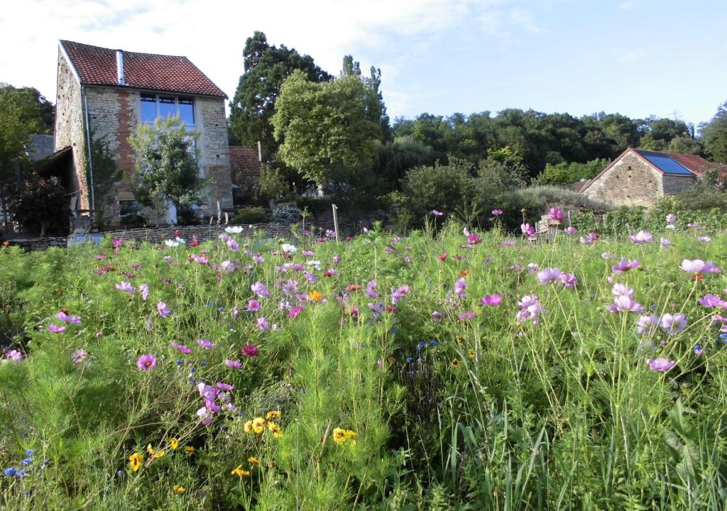 Mont-Saint-Jean House | Vineyard Garden Studio