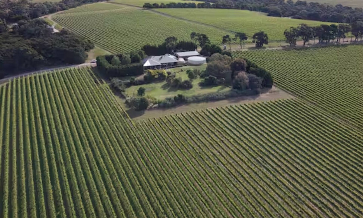 Tuerong House | Vineyard Lane - Winery Escape!