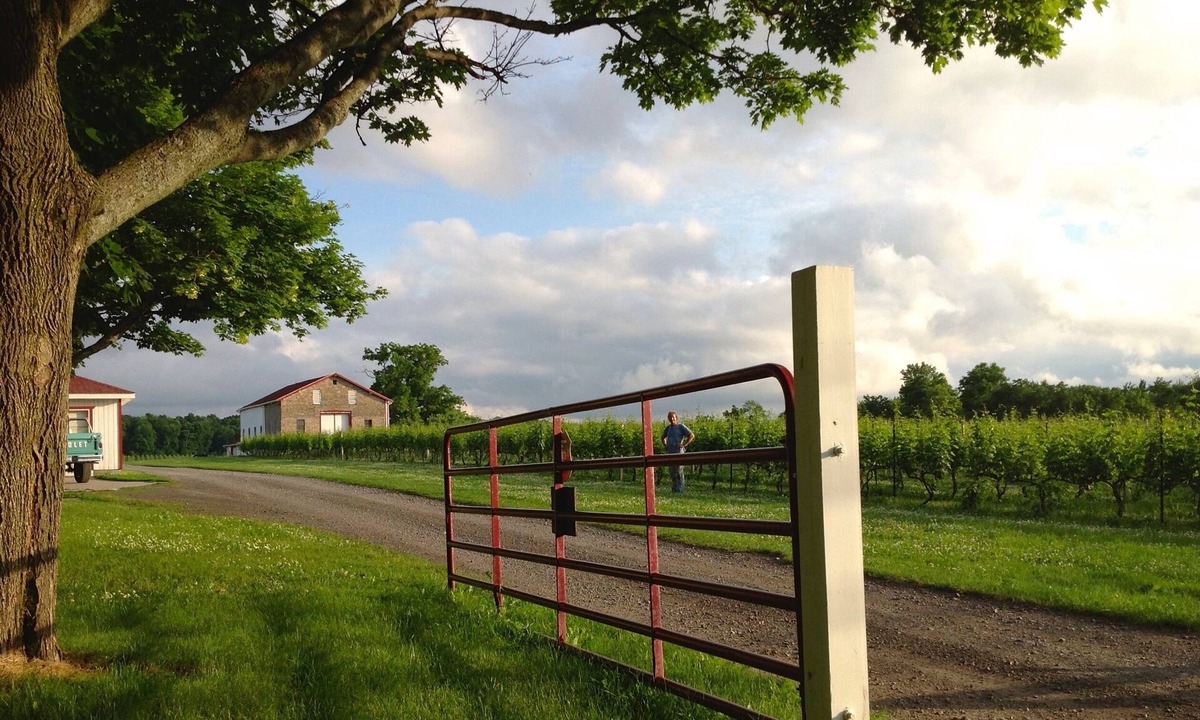 Cambria House | Vineyard Manor House at Freedom Run Winery