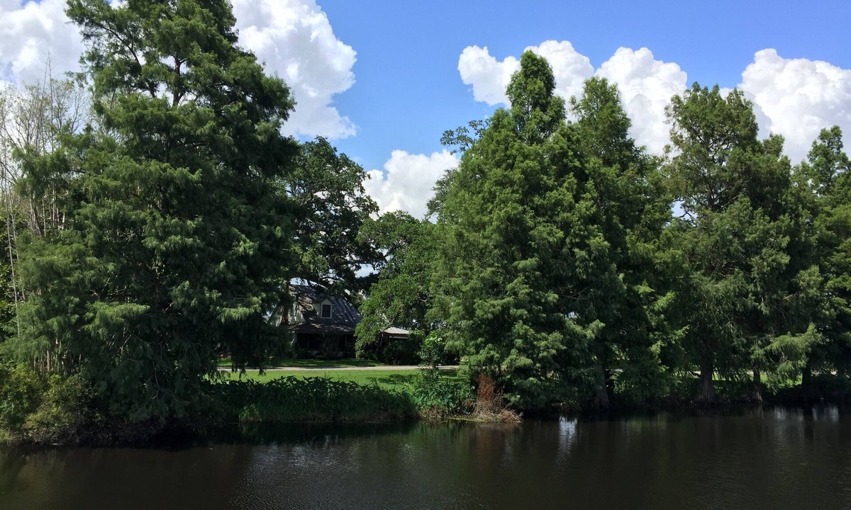 Houma House | Vintage Home and Spacious Grounds - "mini-fest" area - PREMIER