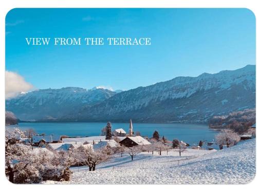 Faulensee House | Vintage Lake View Villa with Outdoor Pool