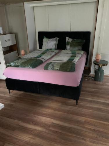 Linthal Apartment | Vista a los Alpes