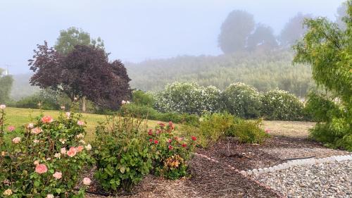 San Miguel House | Vista Vine Cottage