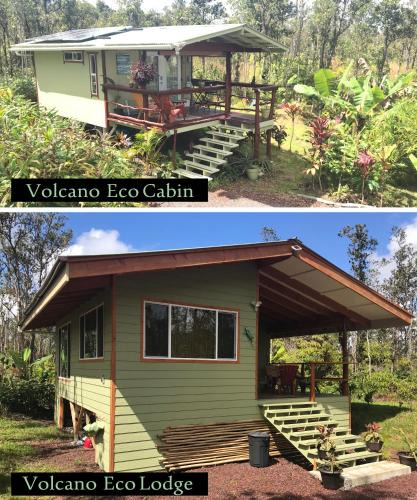 Fern Forest Cabin | Volcano Eco Cabin & Eco Lodge