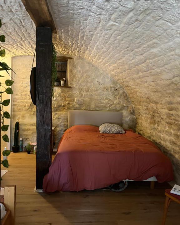 Castelnau-Montratier-Sainte-Alauzie Apartment | Voute des anges type loft sans cloison