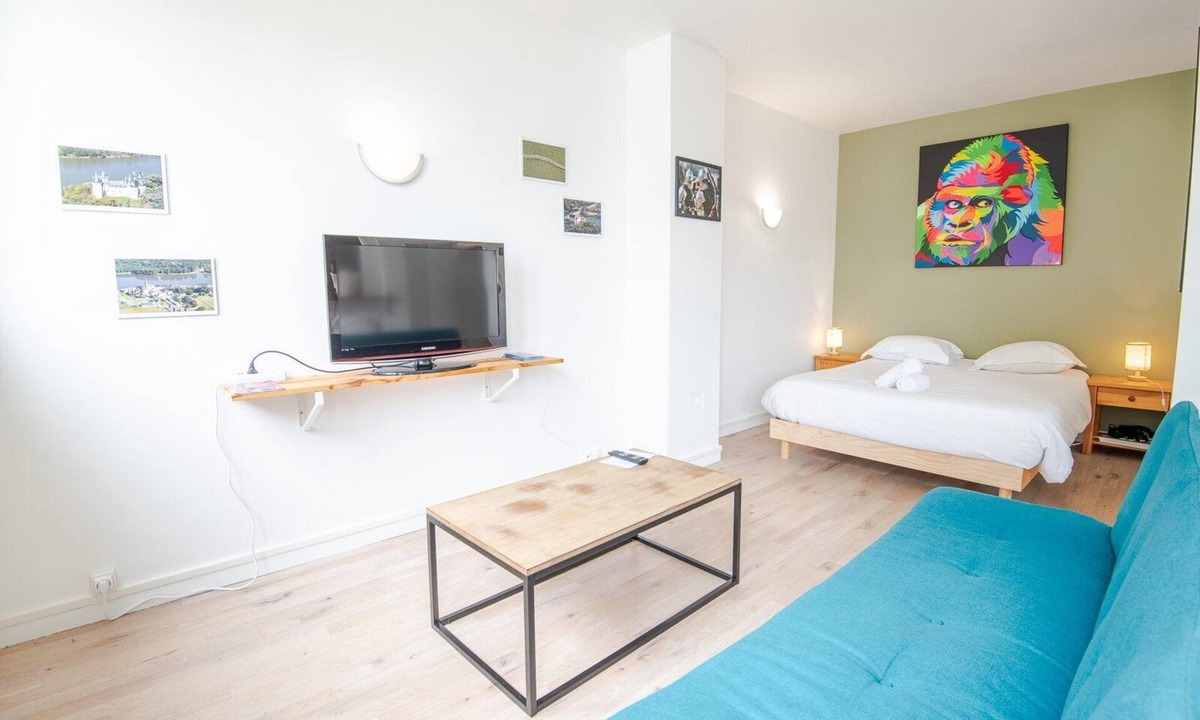 Saint-Cyr-sur-Loire Apartment | Voyage artistique