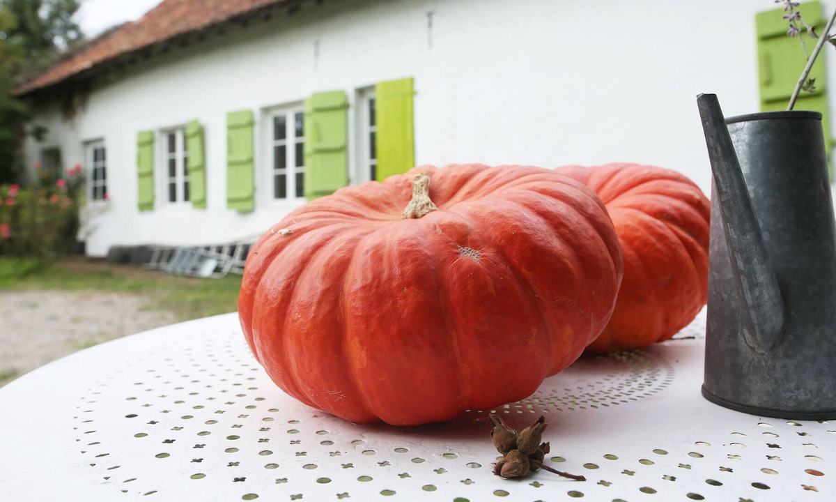 Attin House | Vrbo Property