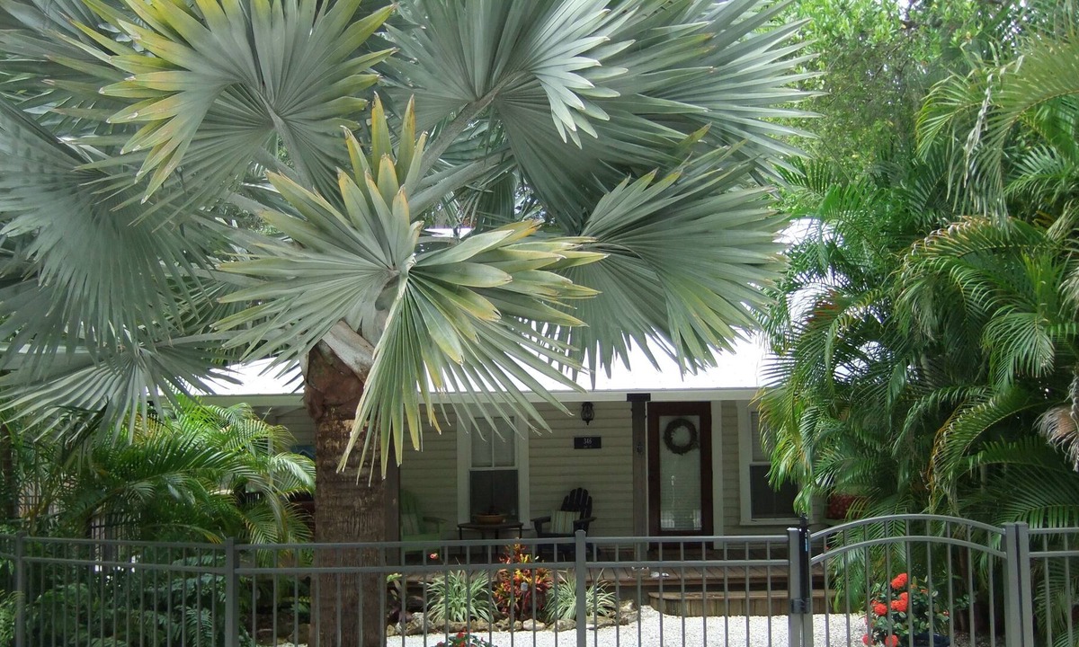 Ozona Cottage | Vrbo Property