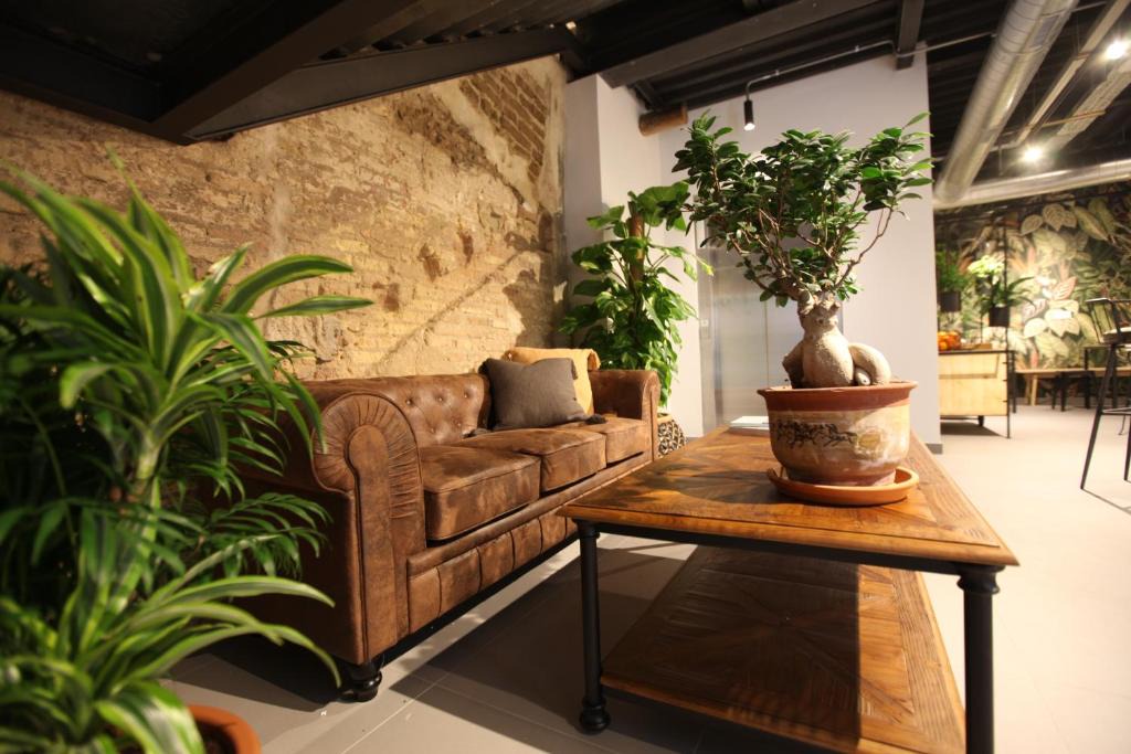 El Gancho Hostel | VTZ The Botanic Hostel