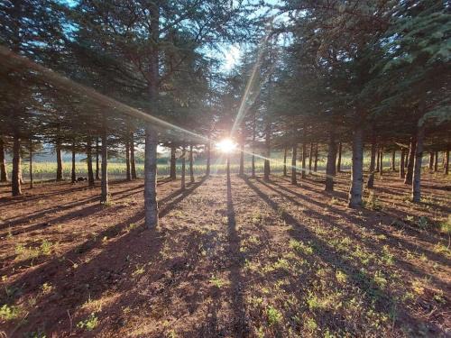 Couiza House | Vue de Rennes-le-Château