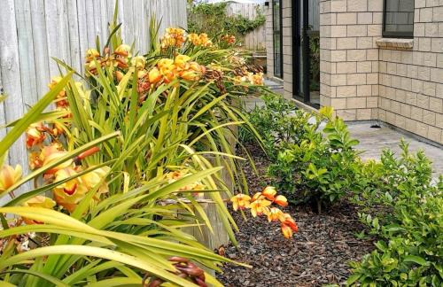 Albany Apartment | W&M Orchid House