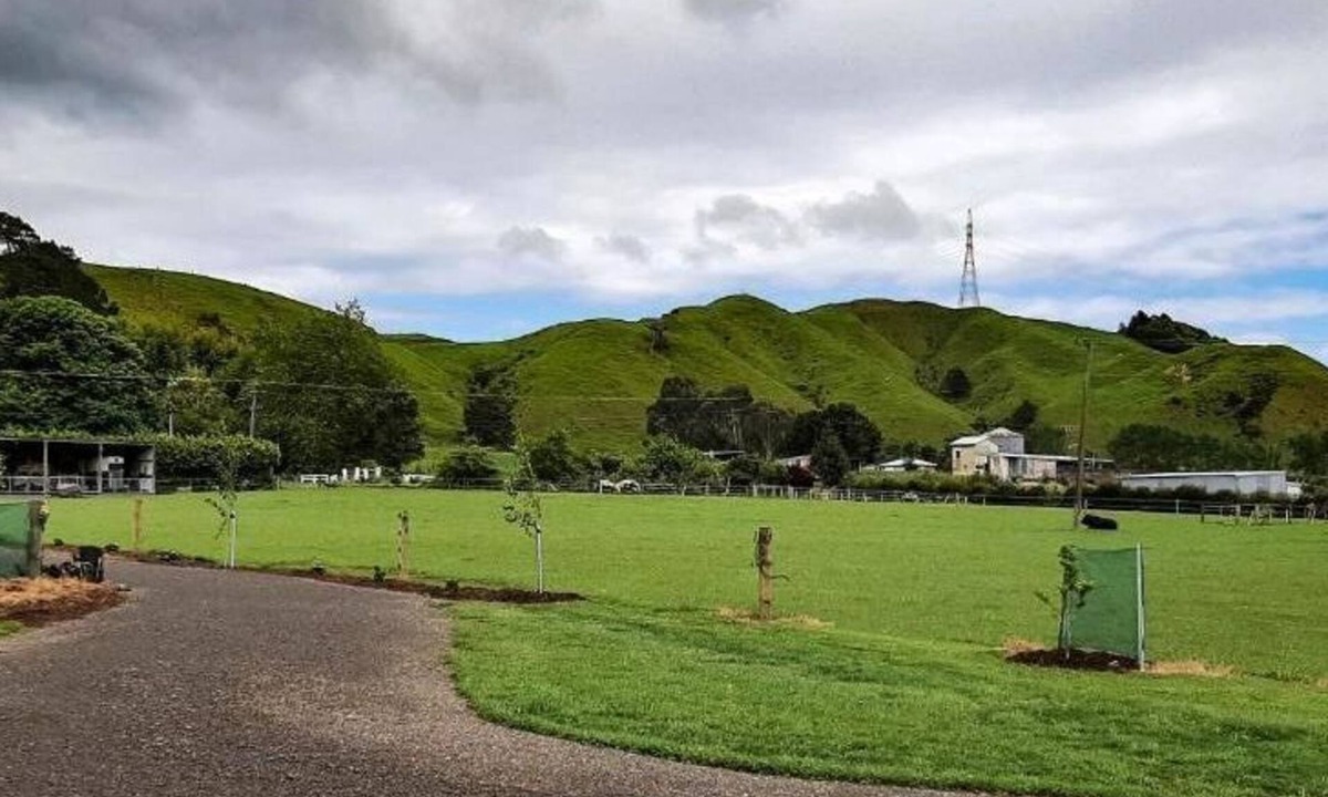 Tararua Forest Park Cottage | Waiora cottage