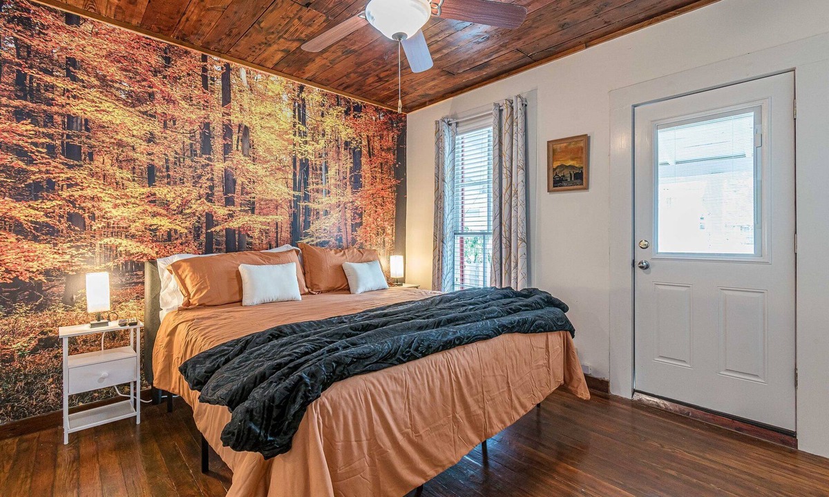 Mahncke Park House | Walk to Botanical Gardens, pets, fenced backyard, playground, PS4, free parking
