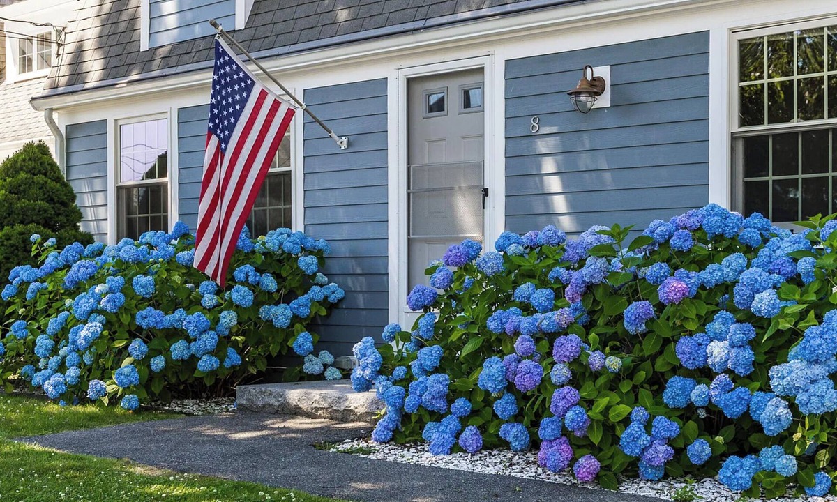 Falmouth Heights House | Walk to the Beach - 5BR Falmouth Heights Cape Dream - Pets Welcome
