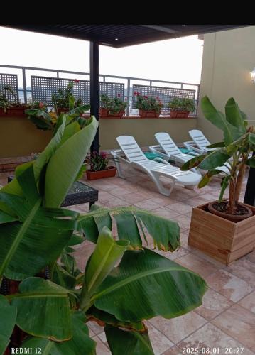 Santa Coloma de Gramenet House | Warm Harbor