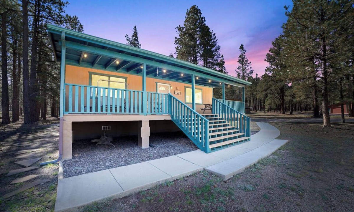 Parks Cabin | Watch the forest come alive - spring wildlife & trails await!