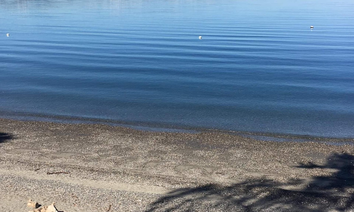 Three Tree Point Apartment | Waterfront Beach Apartment 15 Min From Seattle