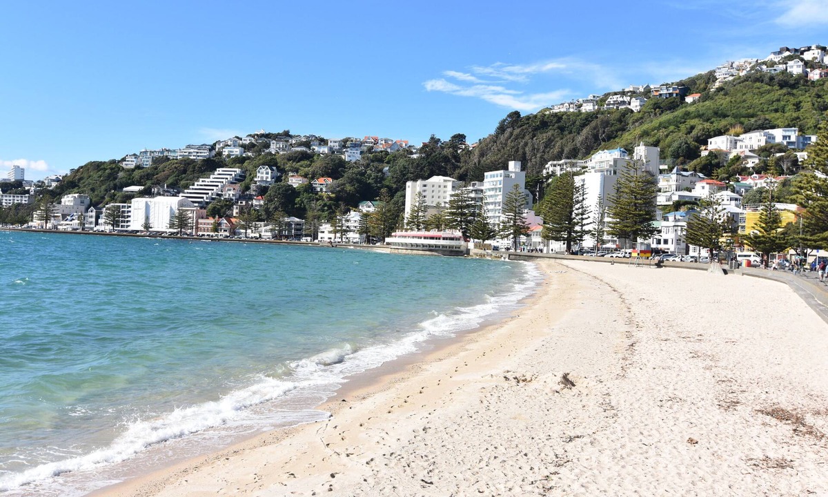 Wellington House | Waterfront Beach house
