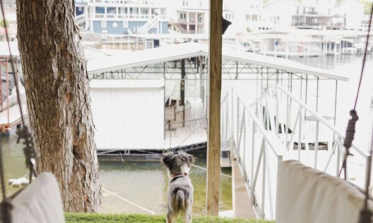 Rocky Mount House | Waterfront Cottage & Dock w/Beautiful View - 5MM