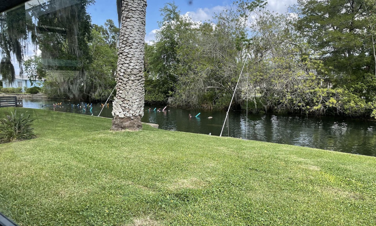 Crystal River House | Waterfront freshwater paradise with pool! Swim with manatees in our backyard!