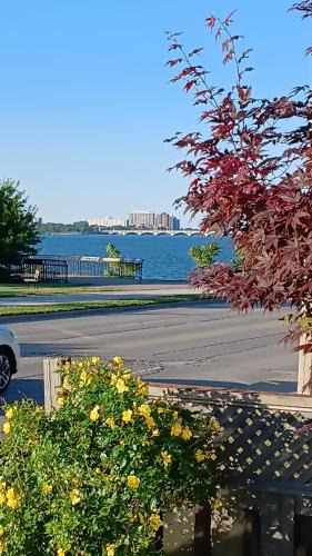 Walkerville House | Waterfront Home Windsor ,On, Ca