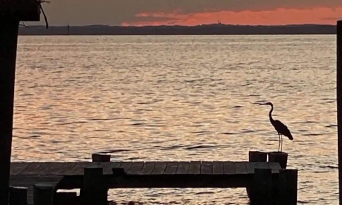 Stevensville House | Waterfront on Kent Island
