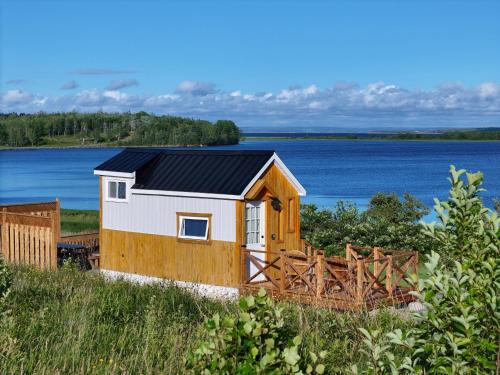 Pomquet House | Waterfront Tiny House near Pomquet Beach- Winterized