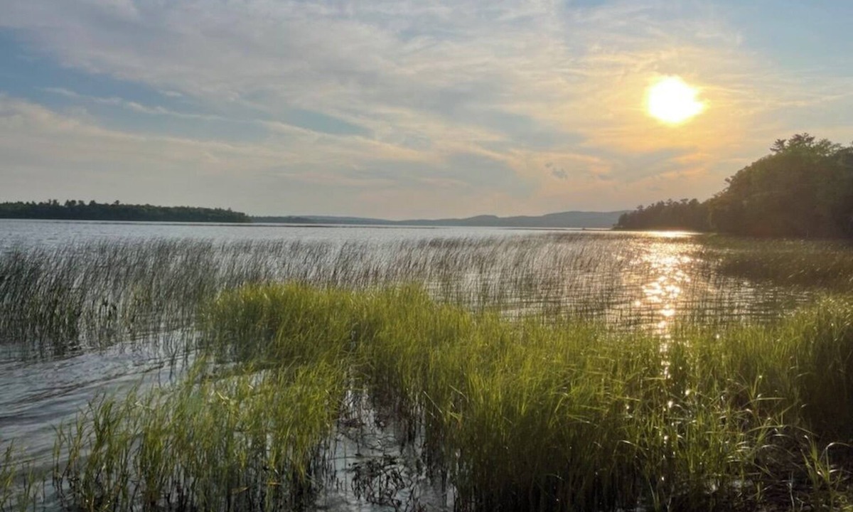 Perry Cottage | Waterfront 'Wildflower Cottage' w/Private Dock!