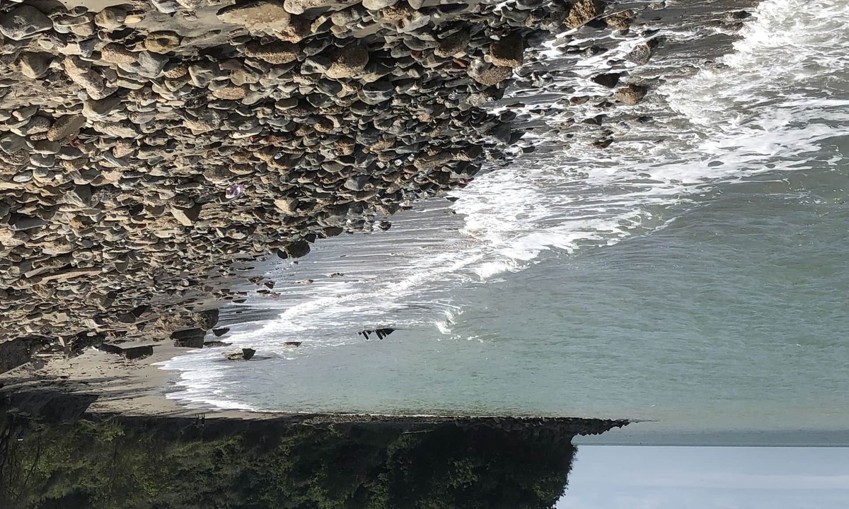 Burmarsh House | Waterside Guest House