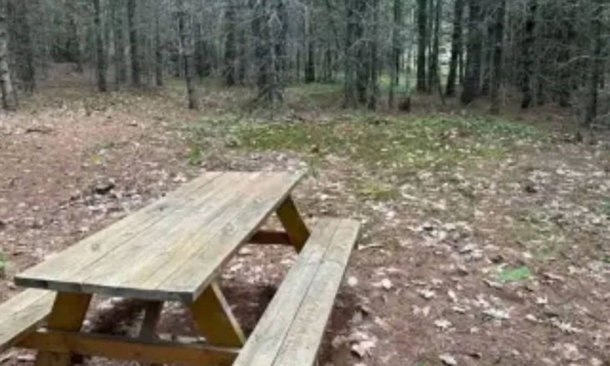 Limerick Cabin | Watersrock Woods Camp Site 2