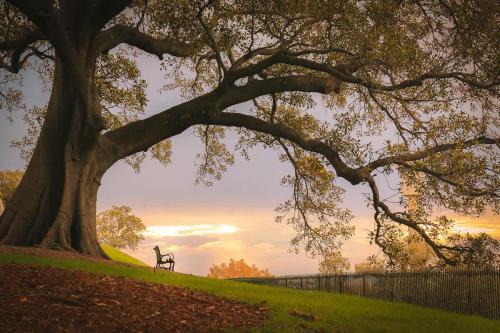 Millers Point House | Waterview terrace in rock