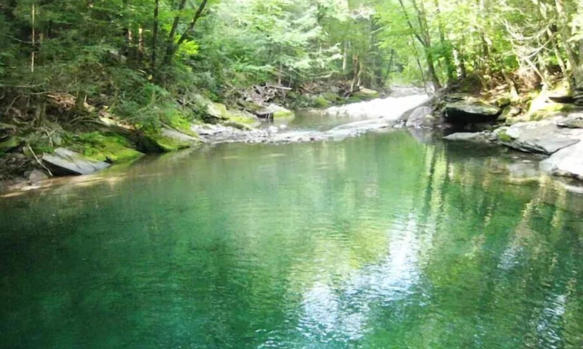 Town of Olive House | Watson House 1850